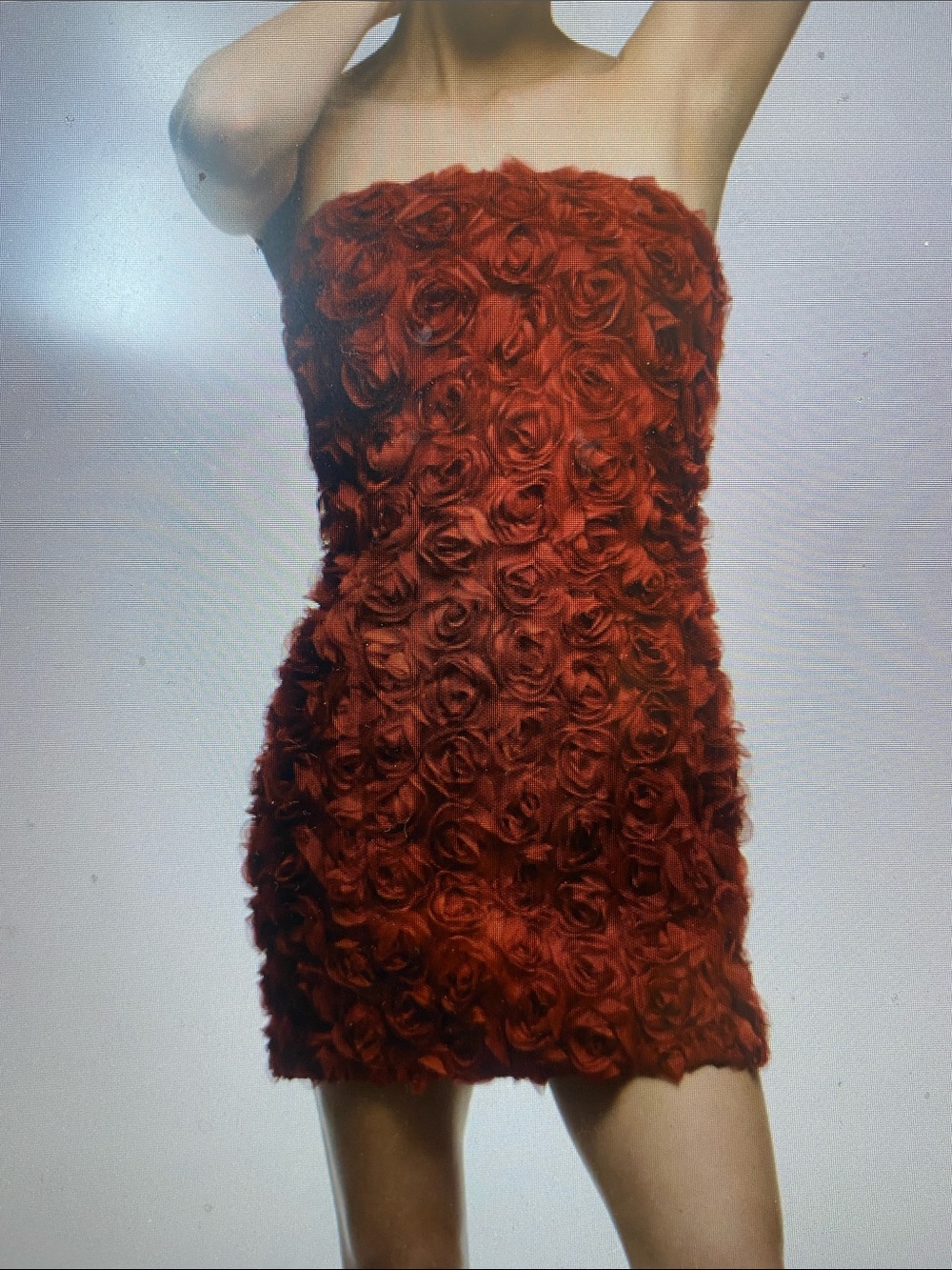 Red Rose Bandeau Mini Dress
